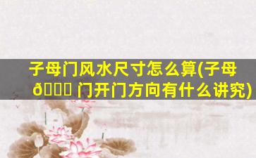子母门风水尺寸怎么算(子母 🐝 门开门方向有什么讲究)